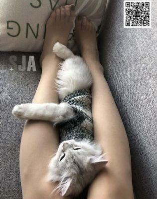 工作细胞第一季中文版_1080动漫免费观看